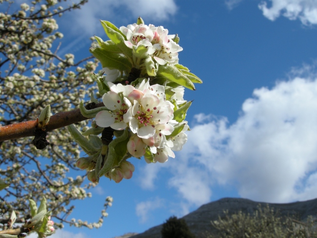 Aria di primavera...